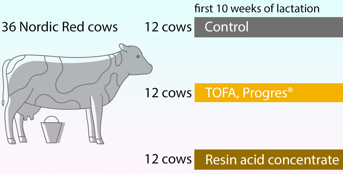 Biomarkers of inflammation and gut permeability in dairy cows with or